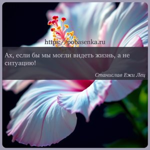Ах, если бы мы могли видеть жизнь, а не ситуацию