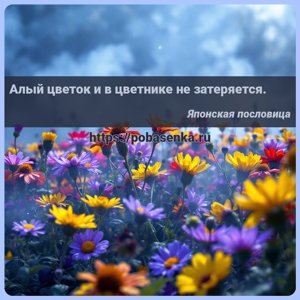 Алый цветок и в цветнике не затеряется.