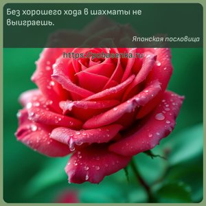 Без хорошего хода в шахматы не выиграешь.