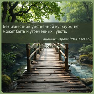 Без известной умственной культуры не может быть и утонченных чувств.