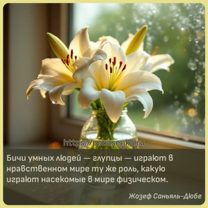 Бичи умных людей глупцы играют в нравственном мире ту же роль, какую...