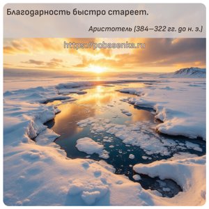 Благодарность быстро стареет.