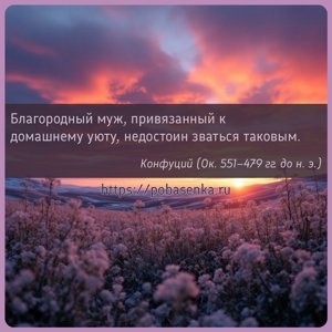 Благородный муж, привязанный к домашнему уюту, недостоин зваться таковым.