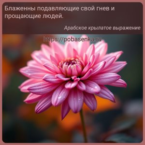 Блаженны подавляющие свой гнев и прощающие людей.