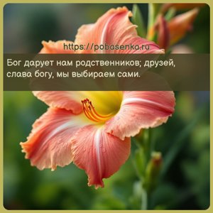 Бог дарует нам родственников друзей, слава богу, мы выбираем сами.