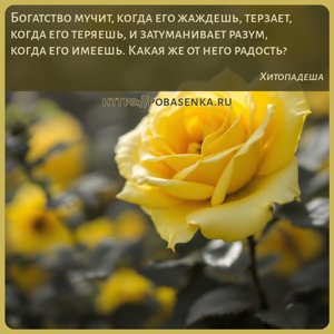 Богатство мучит, когда его жаждешь, терзает, когда его теряешь, и...