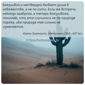 Боязливой и нетвердой бывает душа в невежестве, а не по сути. Если же...