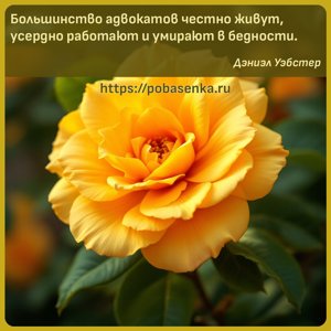 Большинство адвокатов честно живут, усердно работают и умирают в бедности.