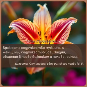 Брак есть содружество мужчины и женщины, содружество всей жизни, общение в...