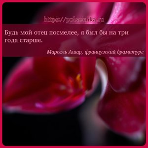 Будь мой отец посмелее, я был бы на три года старше.