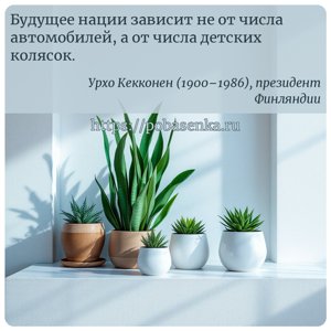 Будущее нации зависит не от числа автомобилей, а от числа детских колясок.