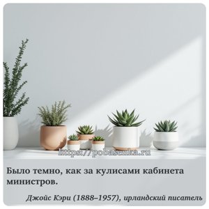 Было темно, как за кулисами кабинета министров.