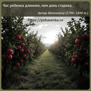 Час ребенка длиннее, чем день старика.