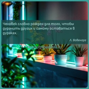 Человек словно рожден для того, чтобы дурачить других и самому оставаться...