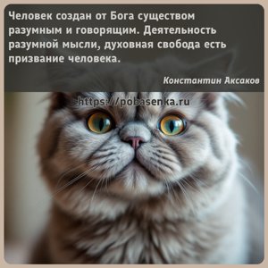 Человек создан от Бога существом разумным и говорящим. Деятельность...