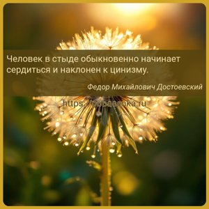 Человек в стыде обыкновенно начинает сердиться и наклонен к цинизму.