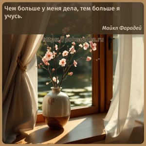 Чем больше у меня дела, тем больше я учусь.