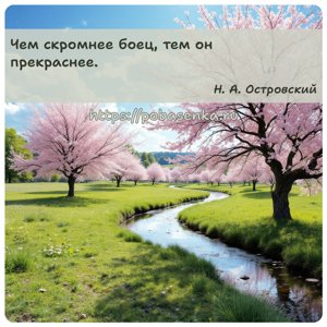 Чем скромнее боец, тем он прекраснее.