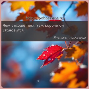 Чем старше пест, тем короче он становится.