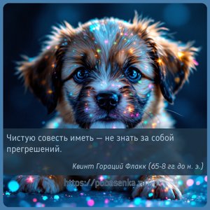 Чистую совесть иметь не знать за собой прегрешений.