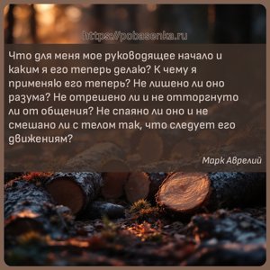 Что для меня мое руководящее начало и каким я его теперь делаю? К чему я...