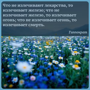 Что не излечивают лекарства, то излечивает железо что не излечивает...