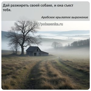 Дай разжиреть своей собаке, и она съест тебя.