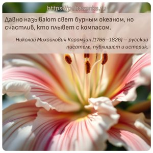 Давно называют свет бурным океаном, но счастлив, кто плывет с компасом.