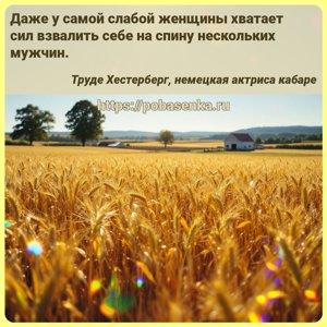 Даже у самой слабой женщины хватает сил взвалить себе на спину нескольких...