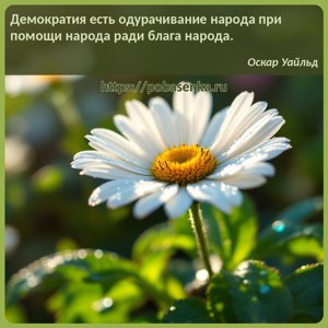 Демократия есть одурачивание народа при помощи народа ради блага народа.