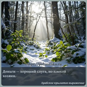 Деньги хороший слуга, но плохой хозяин.