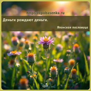 Деньги рождают деньги.