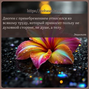Диоген с пренебрежением относился ко всякому труду, который приносит...