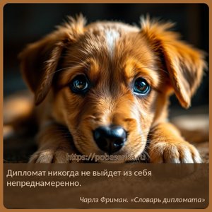 Дипломат никогда не выйдет из себя непреднамеренно.