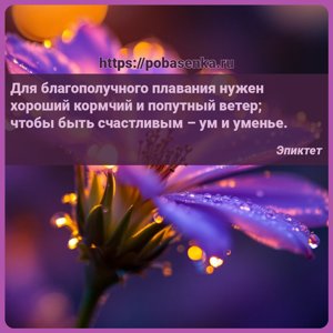 Для благополучного плавания нужен хороший кормчий и попутный ветер чтобы...