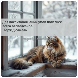 Для воспитания юных умов полезнее всего бесполезное. Жорж Дюамель