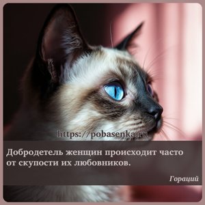 Добродетель женщин происходит часто от скупости их любовников.