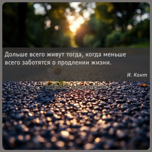 Дольше всего живут тогда, когда меньше всего заботятся о продлении жизни.
