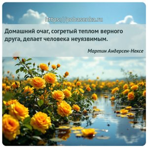 Домашний очаг, согретый теплом верного друга, делает человека неуязвимым.