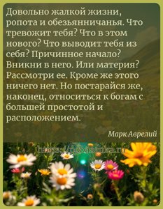 Довольно жалкой жизни, ропота и обезьянничанья. Что тревожит тебя? Что в...