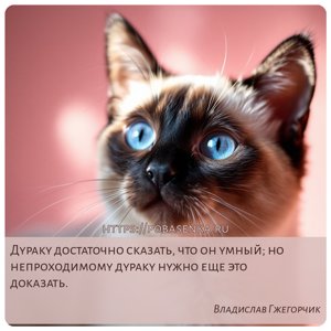 Дураку достаточно сказать, что он умный но непроходимому дураку нужно еще...
