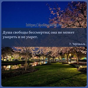 Душа свободы бессмертна она не может умереть и не умрет.