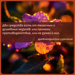 Два средства есть от телесных и душевных недугов или примени...