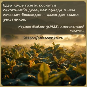 Едва лишь газета коснется какого либо дела, как правда о нем исчезает...