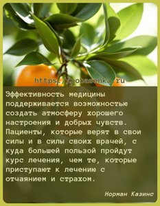 Эффективность медицины поддерживается возможностью создать атмосферу...