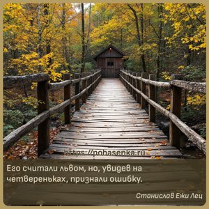 Его считали львом, но, увидев на четвереньках, признали ошибку.
