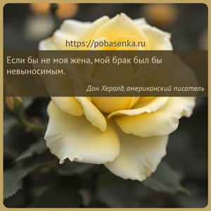 Если бы не моя жена, мой брак был бы невыносимым.