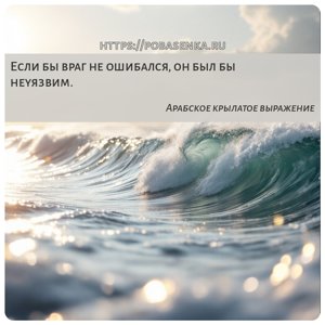 Если бы враг не ошибался, он был бы неуязвим.