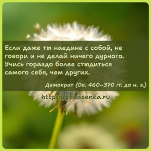 Если даже ты наедине с собой, не говори и не делай ничего дурного. Учись...
