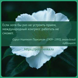 Если хотя бы раз не устроить прием, международный конгресс работать не...